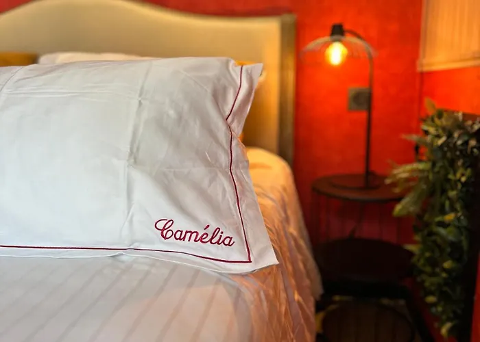 فندق مبيت وإفطار Camelia 3*