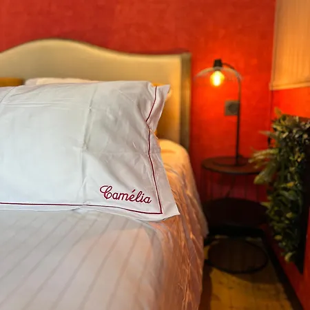 住宿加早餐酒店 Camelia 3*