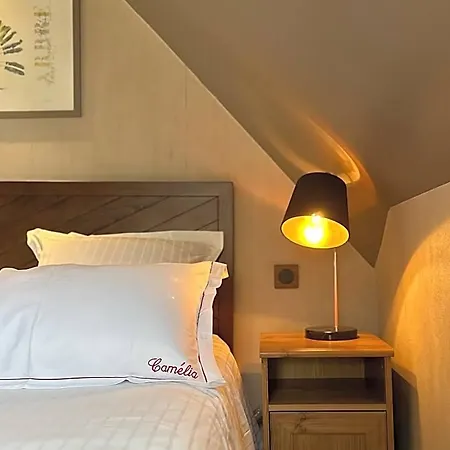 Camelia 住宿加早餐酒店 贝叶