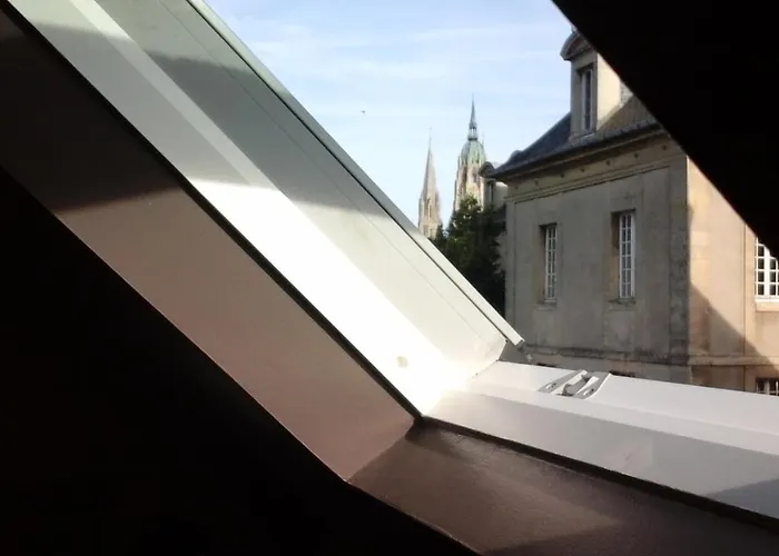 Camelia 3* バイユー