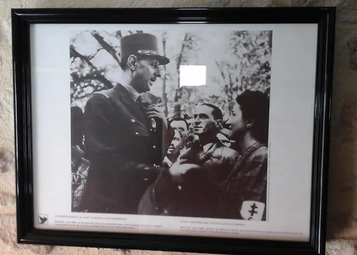 ベッド・アンド・ブレックファスト Camelia