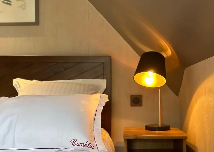 ベッド・アンド・ブレックファスト Camelia バイユー